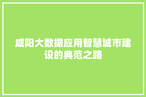 咸阳大数据应用智慧城市建设的典范之路