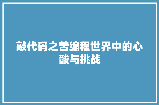 敲代码之苦编程世界中的心酸与挑战