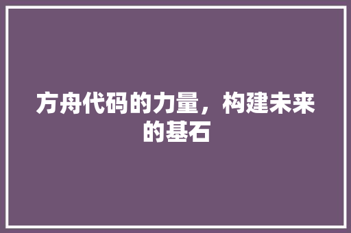 方舟代码的力量，构建未来的基石  第1张