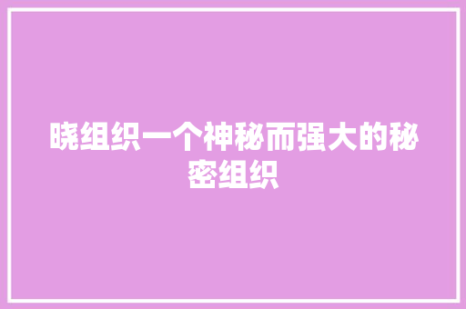 晓组织一个神秘而强大的秘密组织