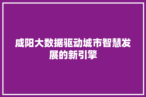咸阳大数据驱动城市智慧发展的新引擎