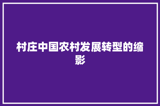 村庄中国农村发展转型的缩影