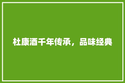 杜康酒千年传承，品味经典