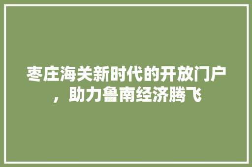 枣庄海关新时代的开放门户，助力鲁南经济腾飞