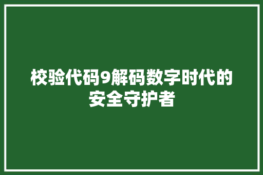 校验代码9解码数字时代的安全守护者