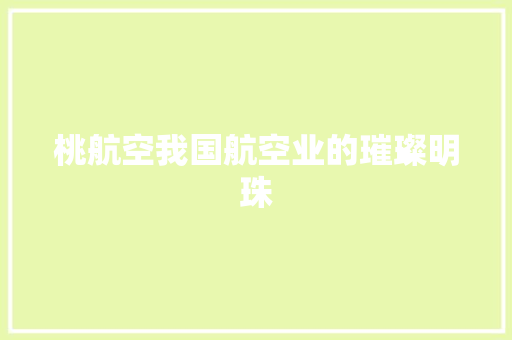 桃航空我国航空业的璀璨明珠