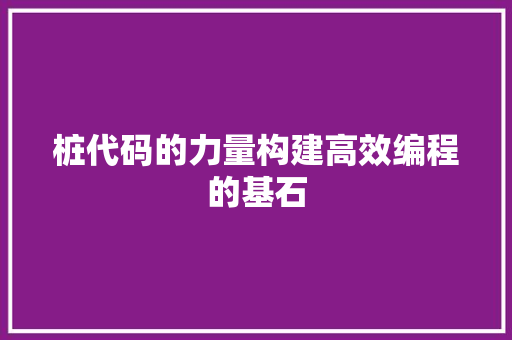 桩代码的力量构建高效编程的基石