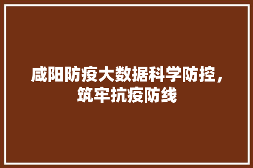 咸阳防疫大数据科学防控，筑牢抗疫防线  第1张