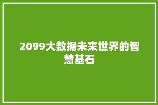 2099大数据未来世界的智慧基石