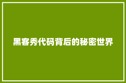 黑客秀代码背后的秘密世界