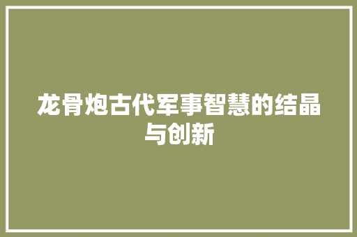龙骨炮古代军事智慧的结晶与创新