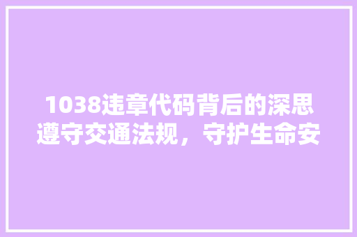 1038违章代码背后的深思遵守交通法规，守护生命安全