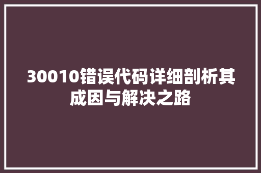 30010错误代码详细剖析其成因与解决之路