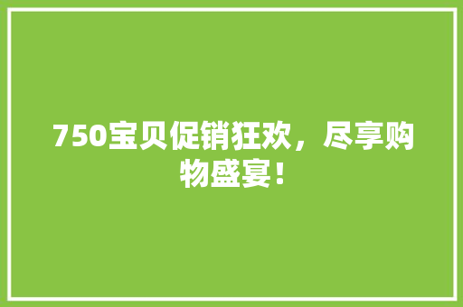 750宝贝促销狂欢，尽享购物盛宴！