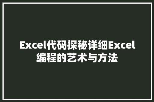 Excel代码探秘详细Excel编程的艺术与方法
