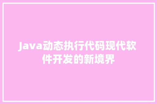 Java动态执行代码现代软件开发的新境界