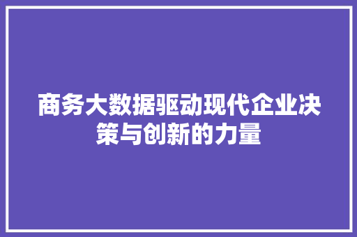 商务大数据驱动现代企业决策与创新的力量  第1张