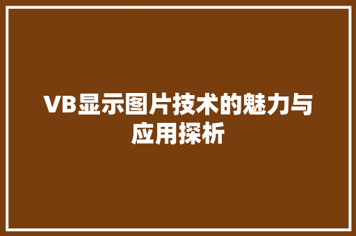 VB显示图片技术的魅力与应用探析
