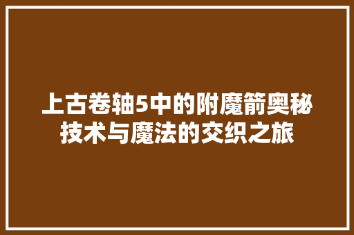 上古卷轴5中的附魔箭奥秘技术与魔法的交织之旅  第1张