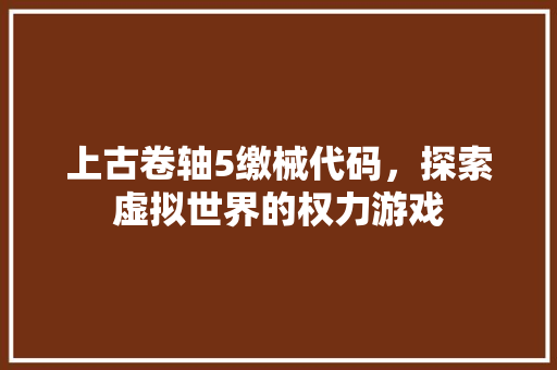 上古卷轴5缴械代码，探索虚拟世界的权力游戏