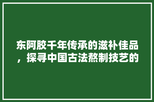 东阿胶千年传承的滋补佳品，探寻中国古法熬制技艺的魅力  第1张