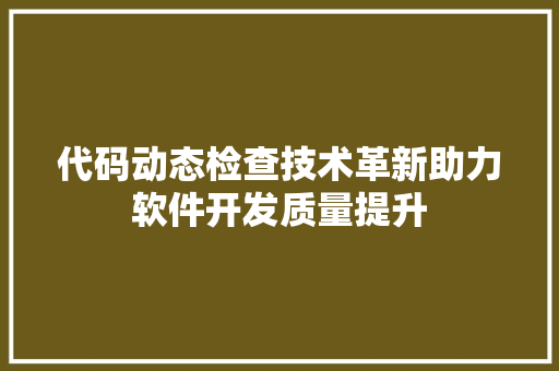 代码动态检查技术革新助力软件开发质量提升