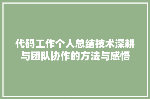 代码工作个人总结技术深耕与团队协作的方法与感悟
