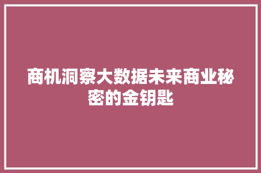 商机洞察大数据未来商业秘密的金钥匙  第1张