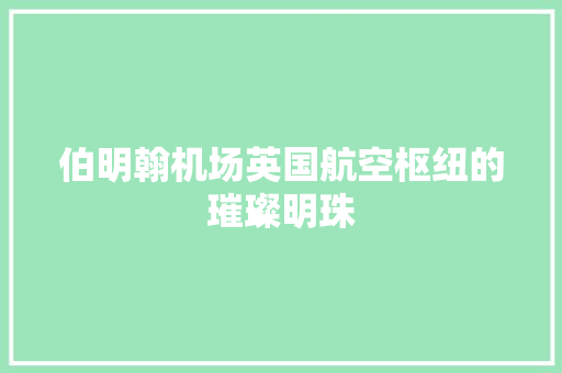 伯明翰机场英国航空枢纽的璀璨明珠