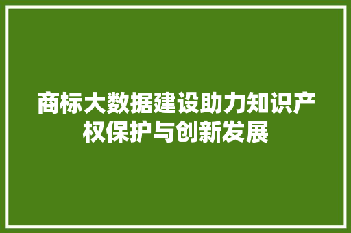 商标大数据建设助力知识产权保护与创新发展  第1张
