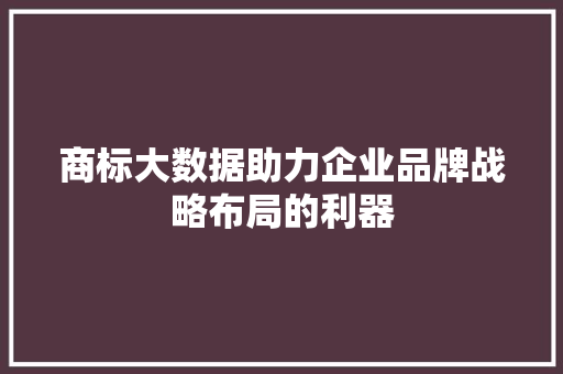 商标大数据助力企业品牌战略布局的利器