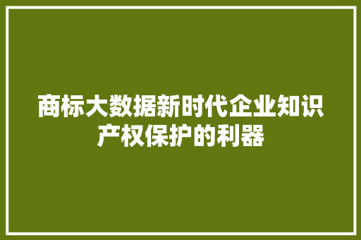商标大数据新时代企业知识产权保护的利器