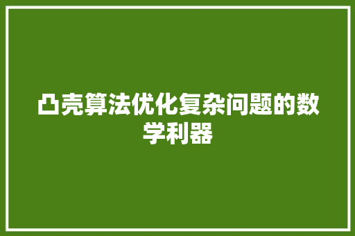 凸壳算法优化复杂问题的数学利器