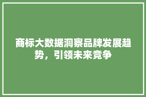 商标大数据洞察品牌发展趋势，引领未来竞争