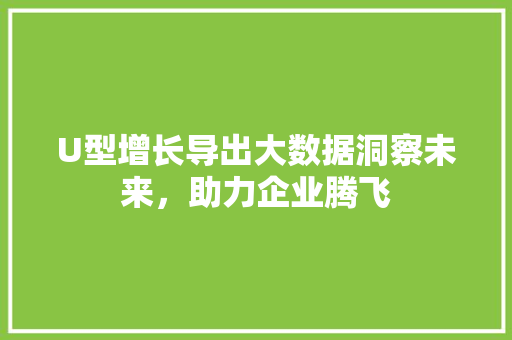 U型增长导出大数据洞察未来，助力企业腾飞