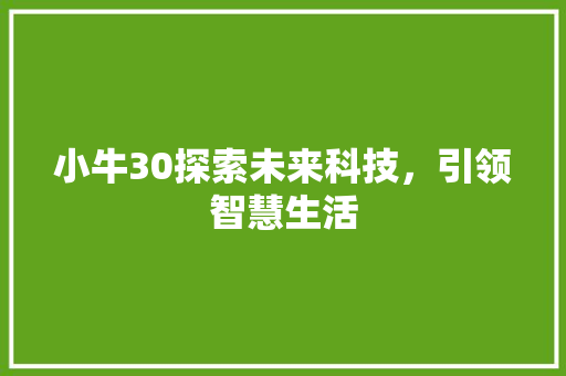 小牛30探索未来科技，引领智慧生活  第1张