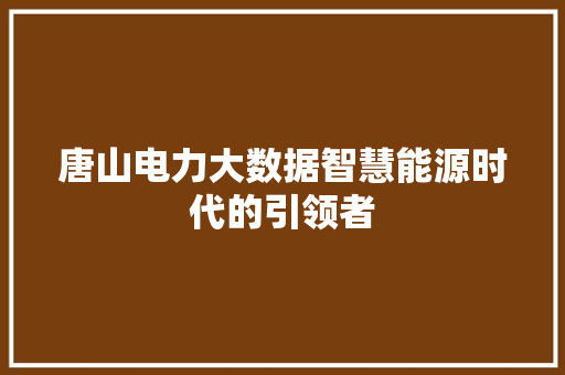 唐山电力大数据智慧能源时代的引领者  第1张