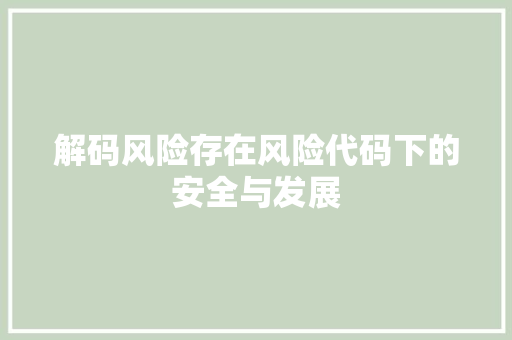 解码风险存在风险代码下的安全与发展