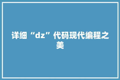 详细“dz”代码现代编程之美