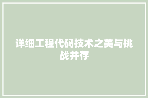 详细工程代码技术之美与挑战并存