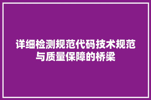 详细检测规范代码技术规范与质量保障的桥梁
