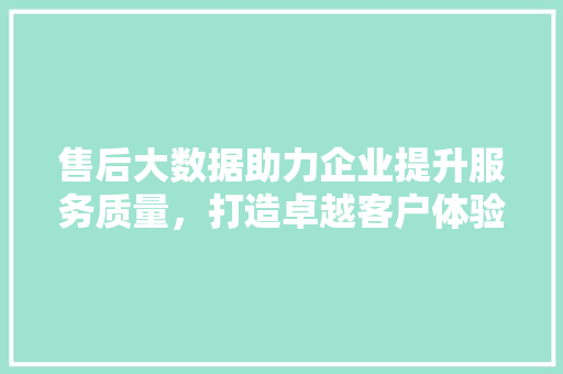 售后大数据助力企业提升服务质量，打造卓越客户体验