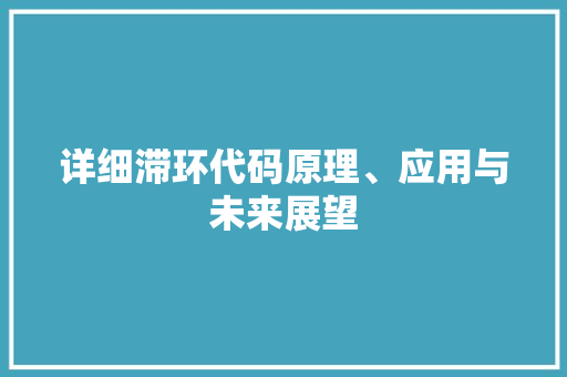 详细滞环代码原理、应用与未来展望