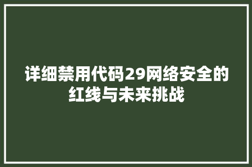 详细禁用代码29网络安全的红线与未来挑战