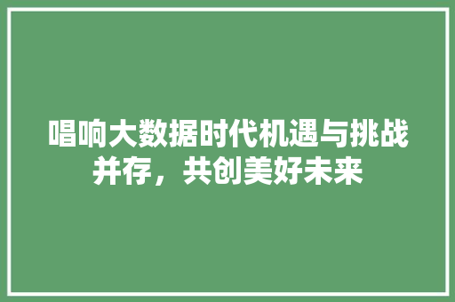 唱响大数据时代机遇与挑战并存，共创美好未来  第1张