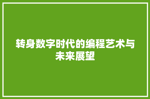 转身数字时代的编程艺术与未来展望