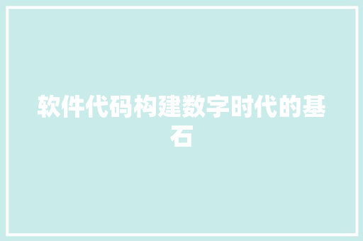 软件代码构建数字时代的基石
