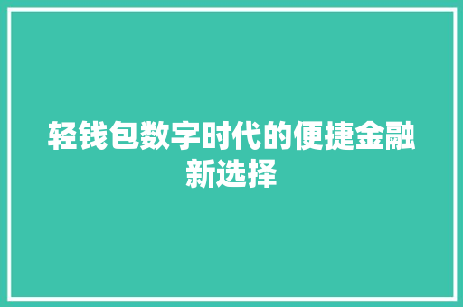 轻钱包数字时代的便捷金融新选择