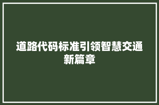 道路代码标准引领智慧交通新篇章