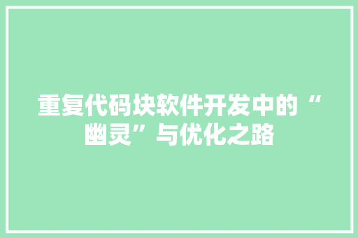 重复代码块软件开发中的“幽灵”与优化之路